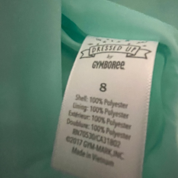 Gymboree Girls Formal Dress - Picture 7 of 7